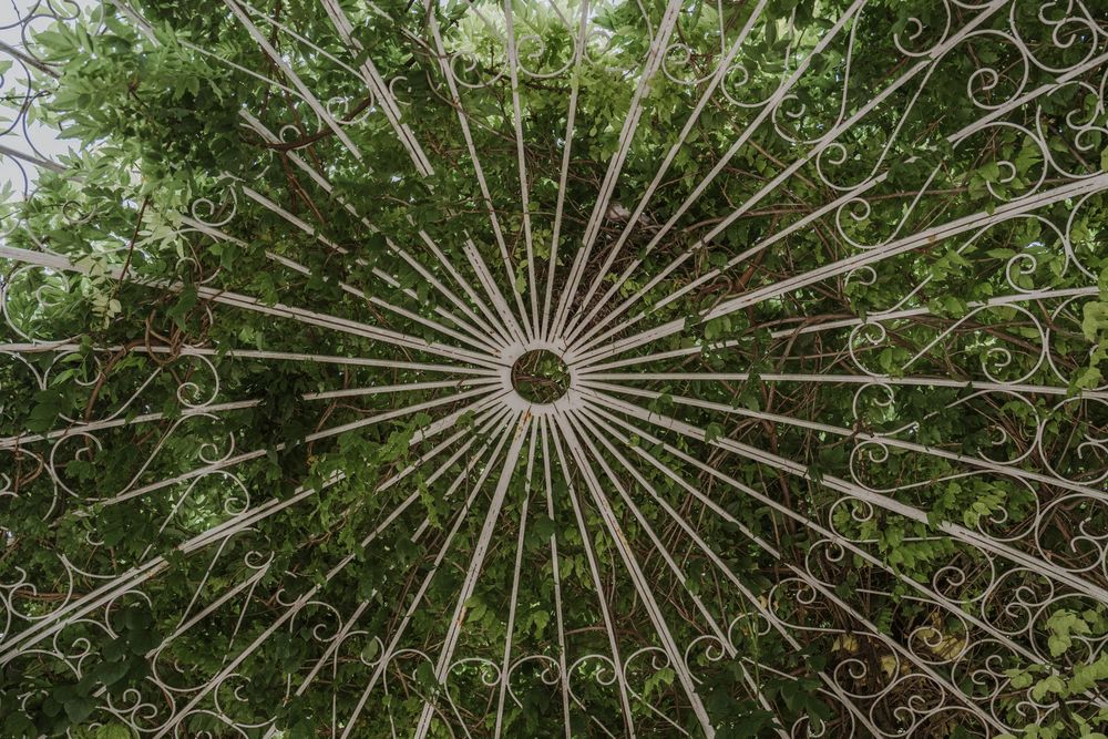 Ornate white metal gazebo detail creates a circular pattern against green foliage.