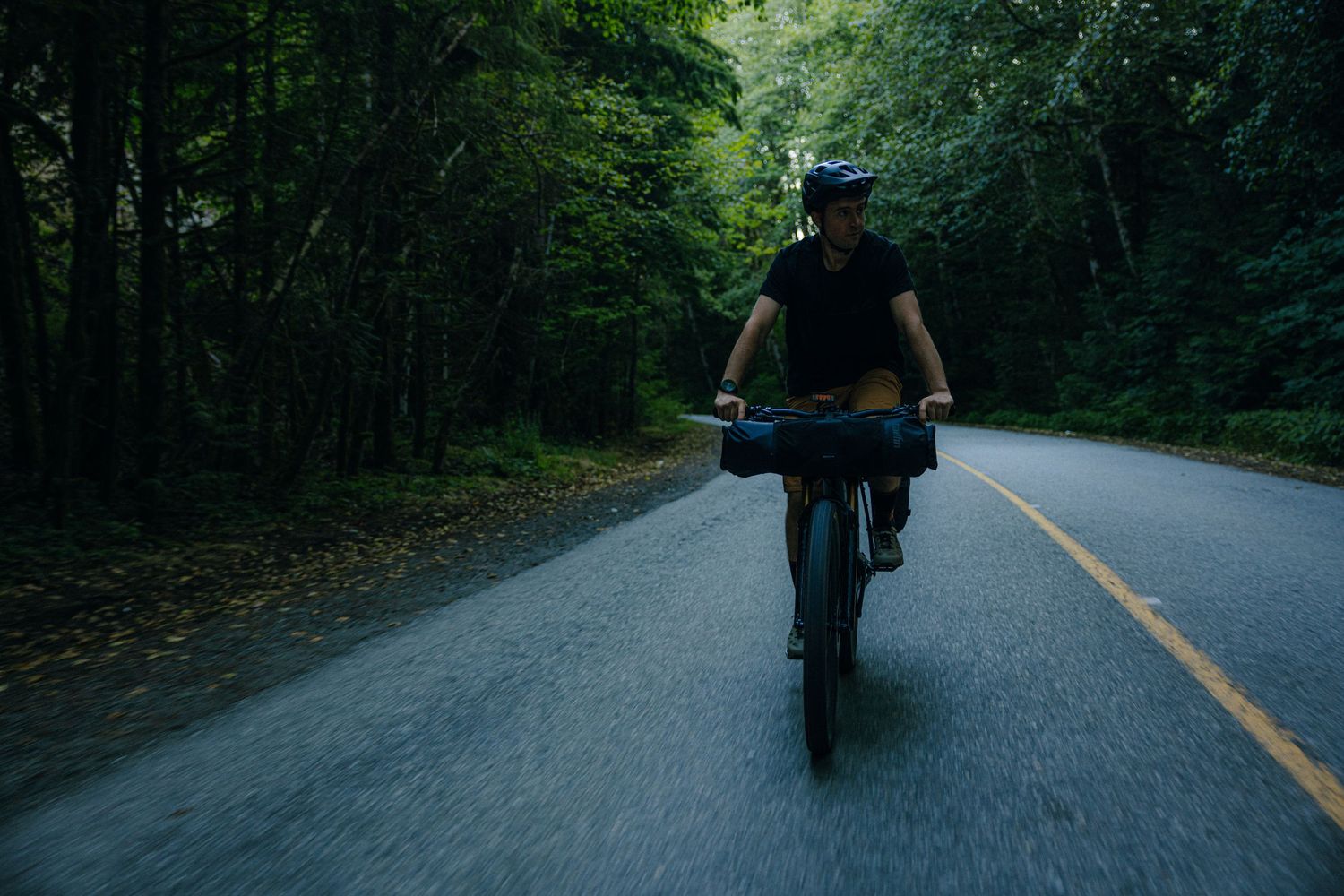 Motorcyclist rides through a scenic forest road surrounded by lush green trees and natural scenery.