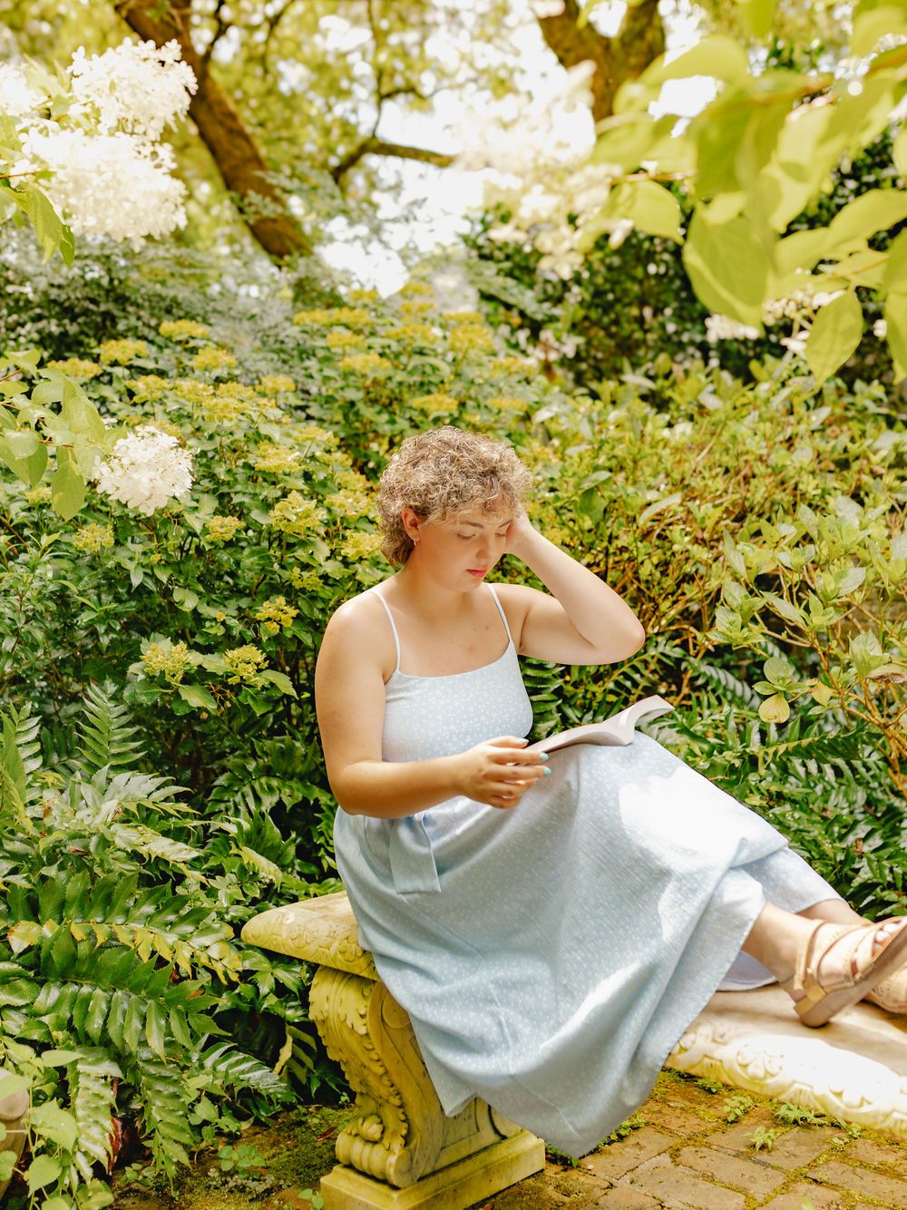 Summer garden portrait with hydrangeas and natural sunlight filtering through trees.