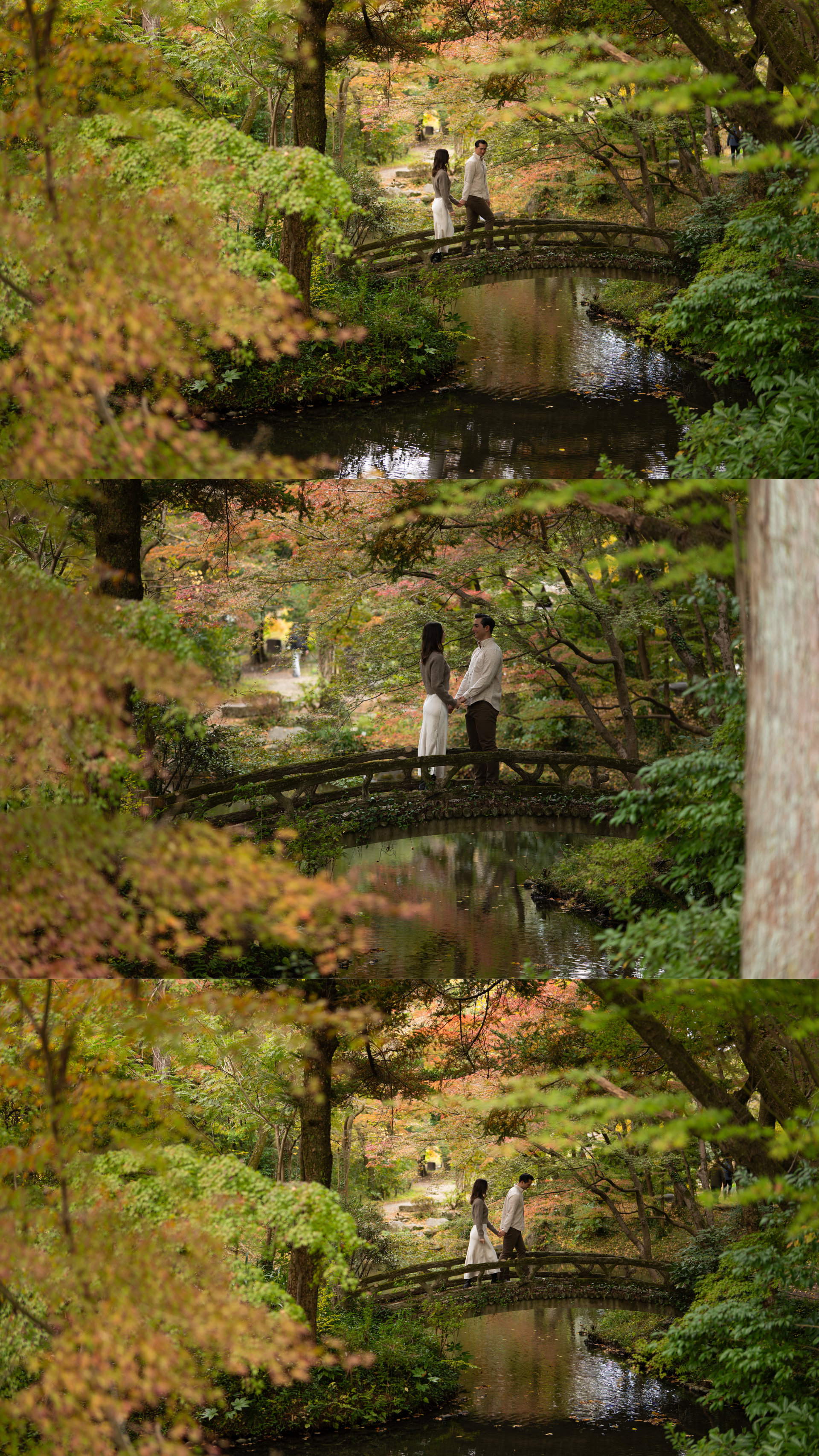 Couple shares a romantic moment on a curved wooden bridge surrounded by colorful autumn foliage in a Japanese garden.