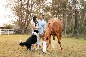 A chestnut horse and a couple with their dog join a at a couple photoshoot with a horse in Sydney