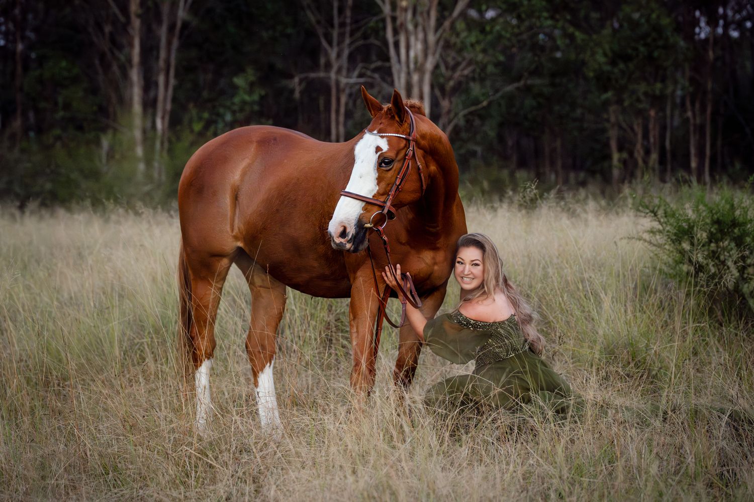 Chestnut horse stands in a grassy field with trees in the background during golden hour lighting portrait photoshoot with a horse in sydney