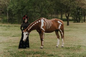 halloween photoshoot with a horse in Sydney