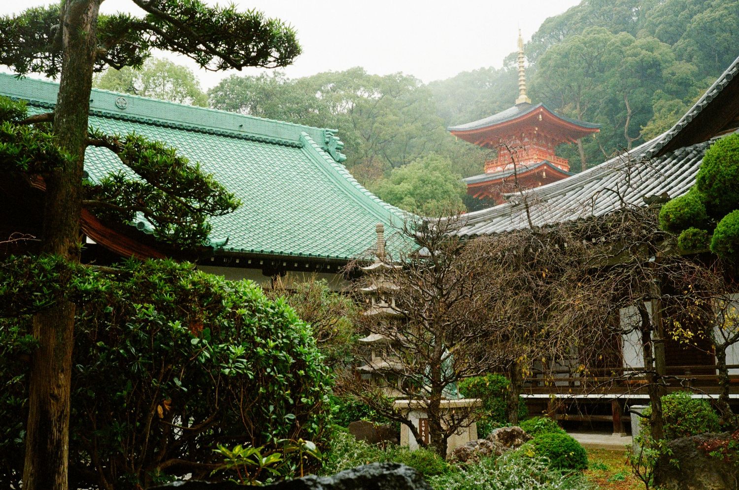 Vibrant red Japanese maple trees frame a traditional wooden temple building in autumn scenery.