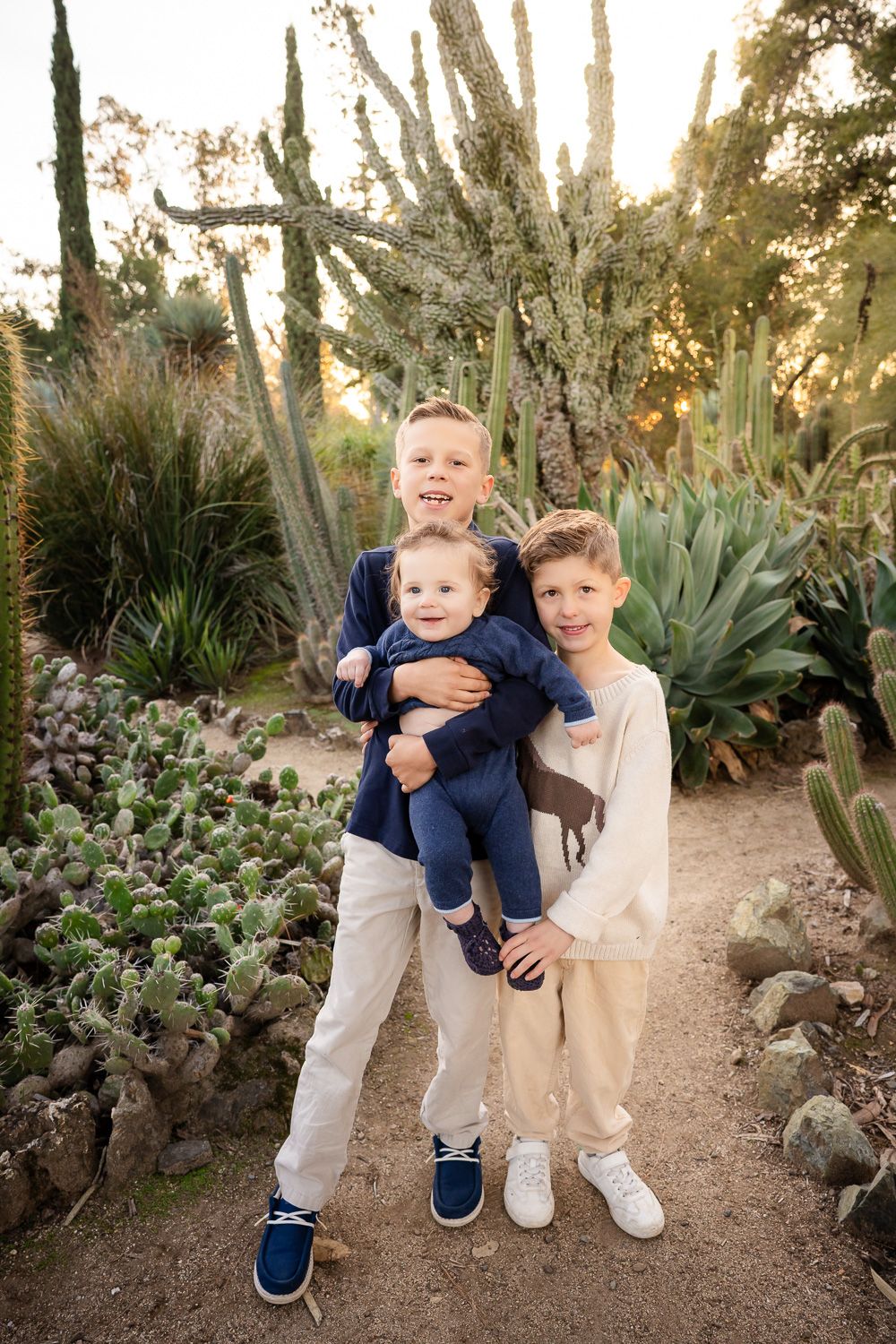Three boys pose at their family photo session in the Bay Area