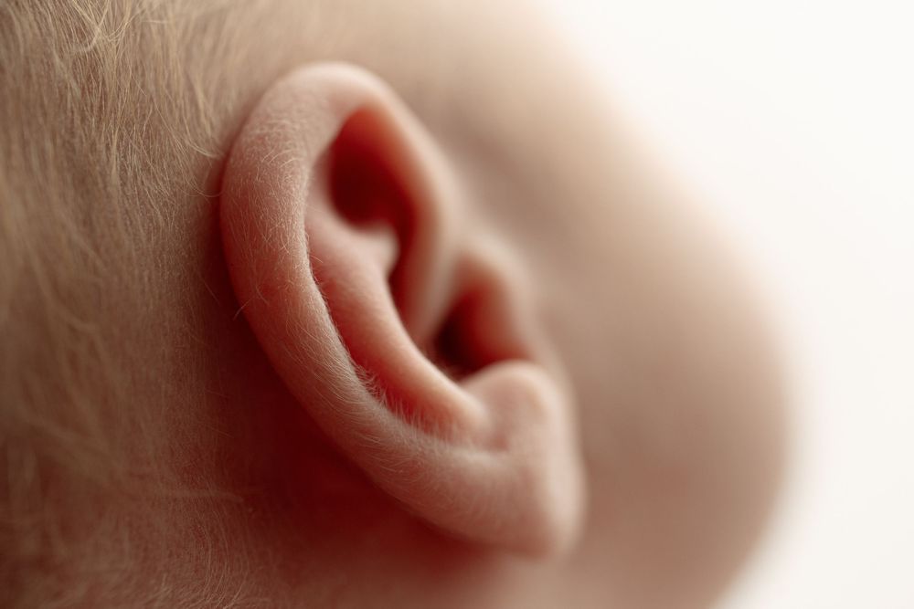 Close-up macro photography of a human ear showing detailed anatomical features in soft lighting– newborn photographer Paloma Schell Houston