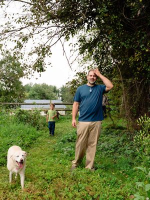 A sequence of photos shows a white dog walking through a lush green field while someone follows behind.