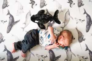 Baby lying on whale-patterned fabric wearing navy pants and white shirt.