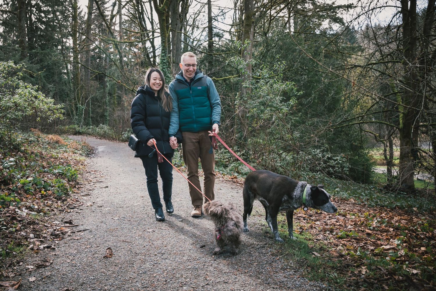 Dog Photography in Seattle