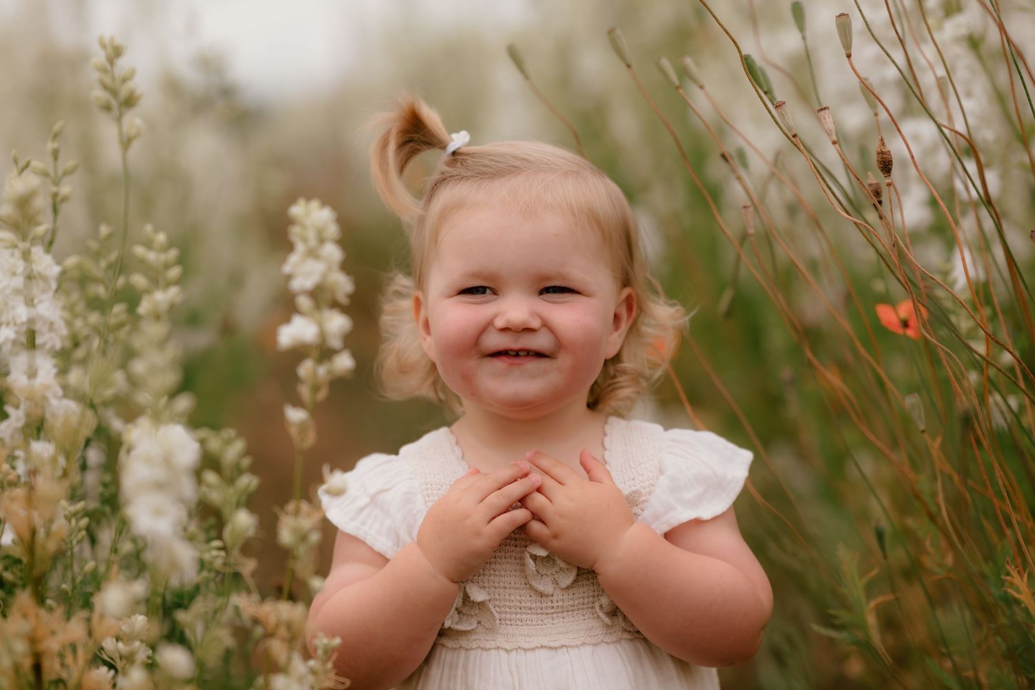 An 18 month old girl giggles as she walks between the flowers in the confetti fields