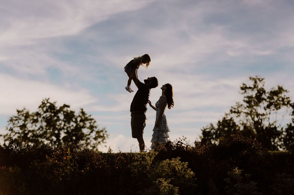 A silhouetted figure lifts a dog against a dramatic sunset sky with trees in the background.