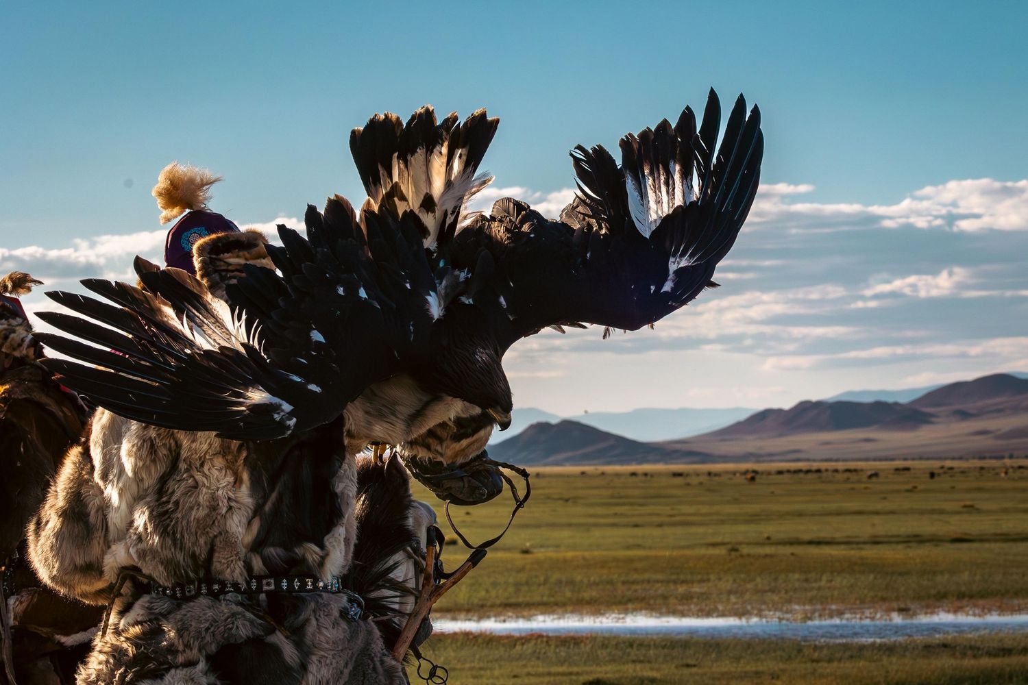 Majestic bald eagle soars across a scenic mountain landscape with wings spread against a blue sky and clouds.