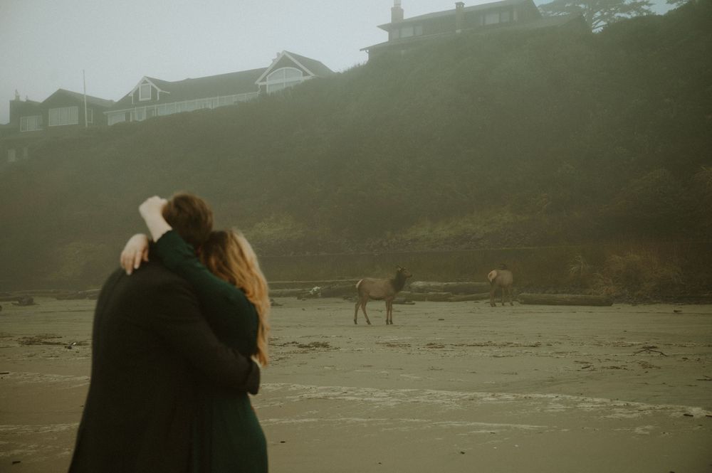 Horses graze on a misty beach with houses visible on the hillside in the background.