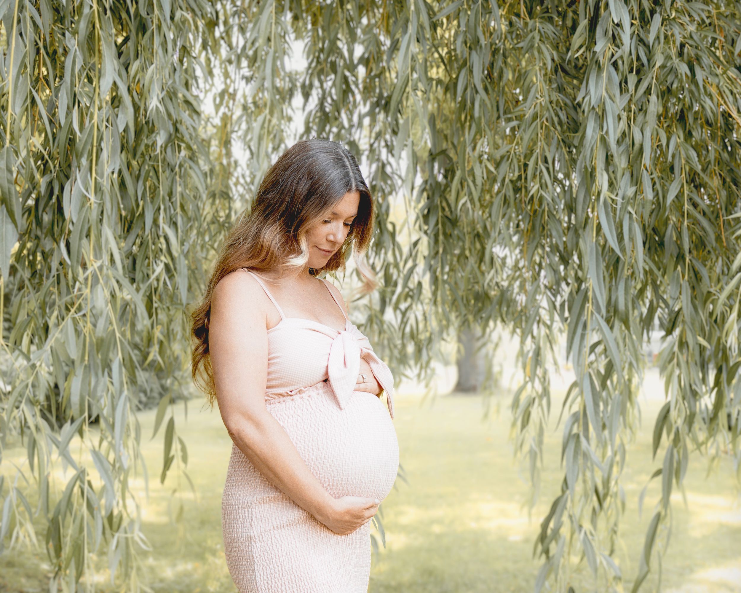 Ethereal maternity portraits under graceful willow tree branches in a sunlit garden setting.