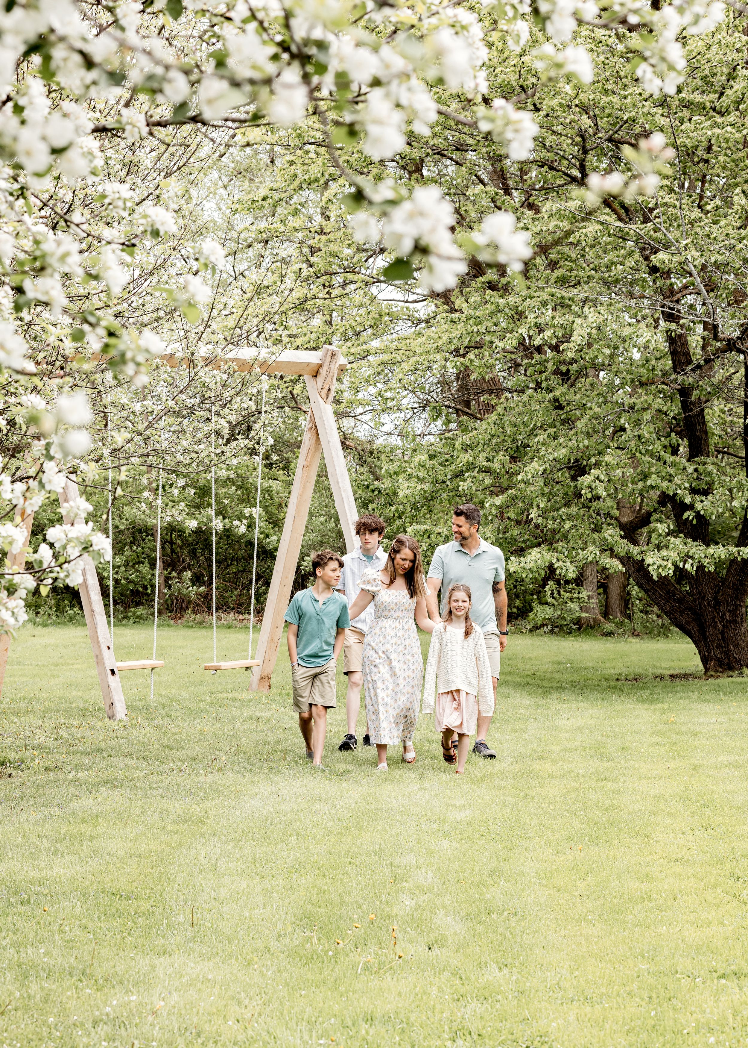 A springtime family stroll under blooming white trees near a wooden swing set.