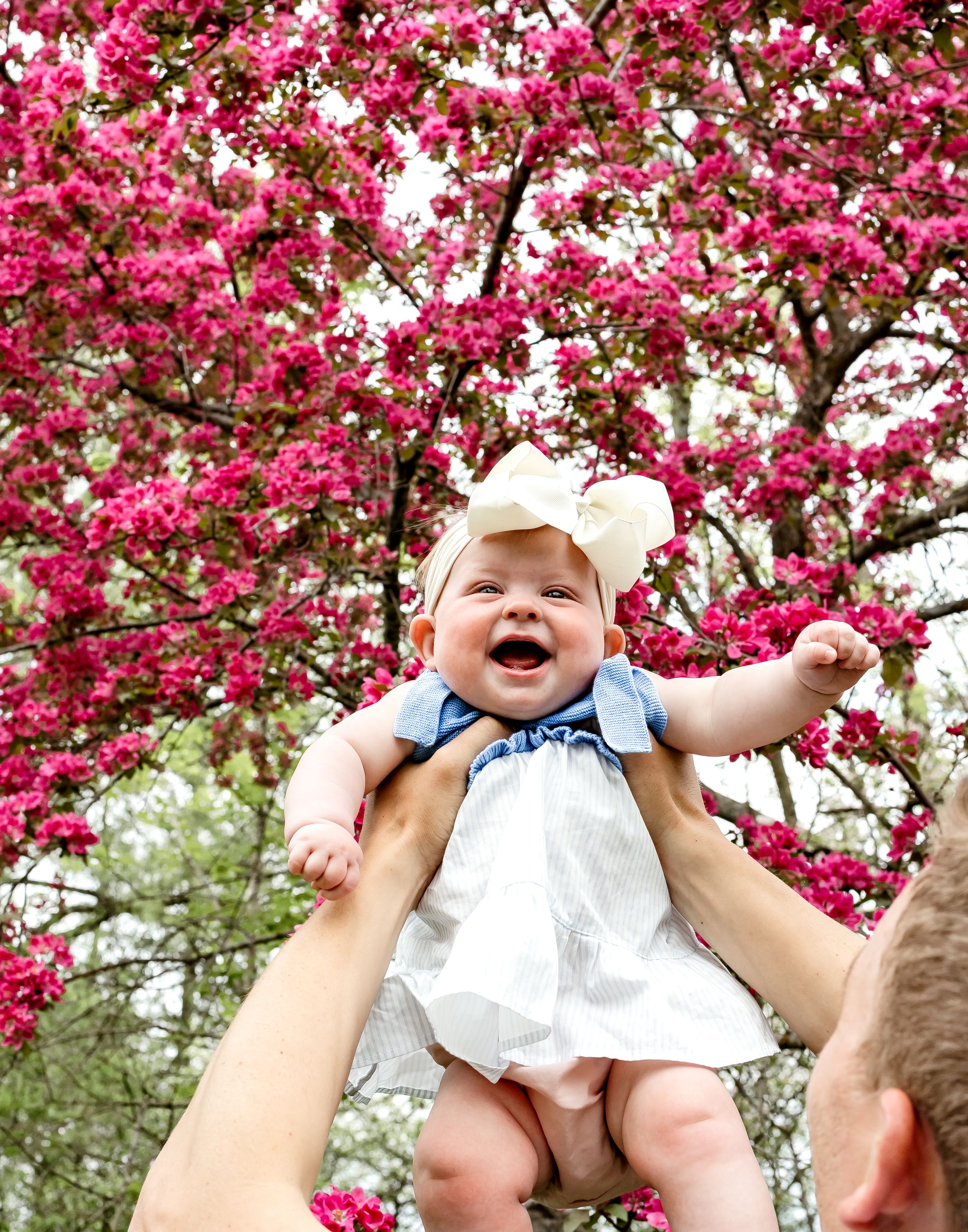 A joyful moment captured under vibrant pink cherry blossoms in full spring bloom.