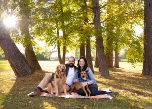 Family with dog relaxing under green trees in a sunlit park during summer.