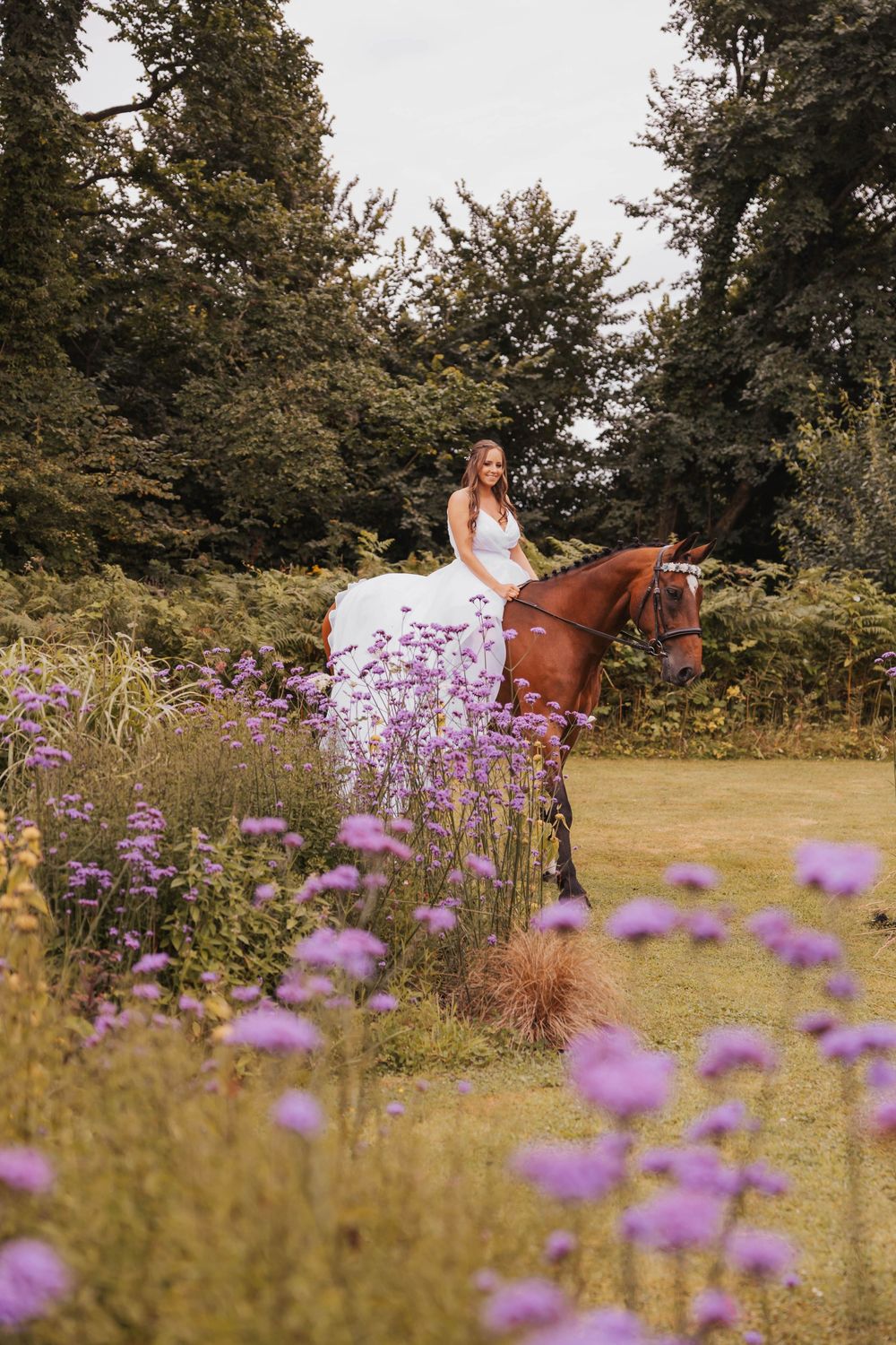 Purple wildflowers bloom in a meadow as a rider on horseback trots past on a sunny summer day.