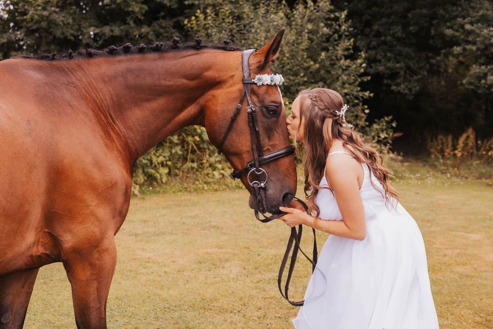 A beautiful chestnut horse stands in a grassy field while someone in a white dress leans in to give it a gentle kiss.