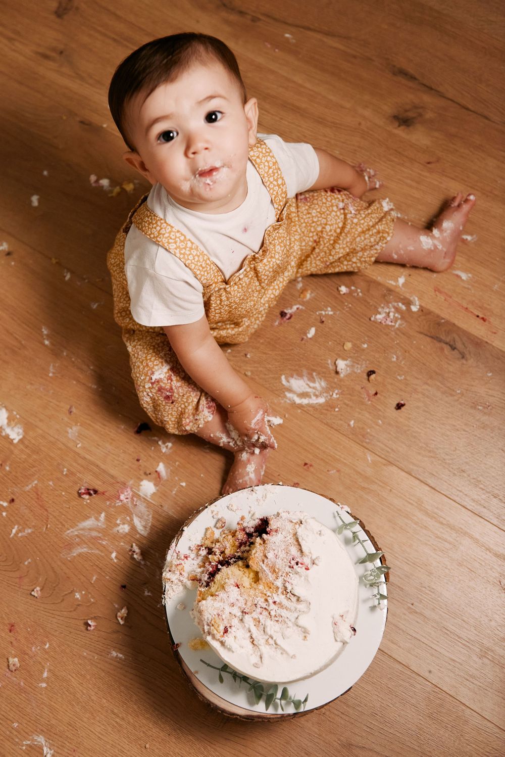 Fotografia de Familia, Smash the Cake, Braga