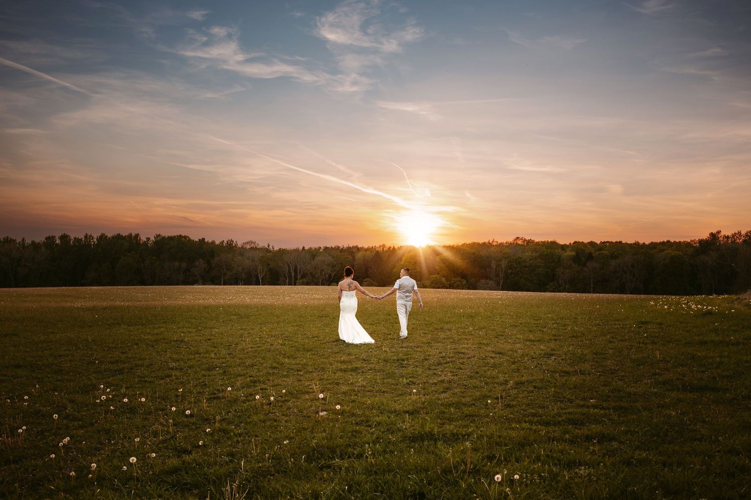 Panoramic sunset view across a golden meadow with silhouettes of trees on the horizon and dramatic clouds in the sky.