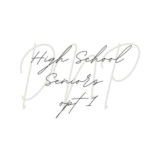 Handwritten text 'High School' in delicate gray cursive lettering on white background.