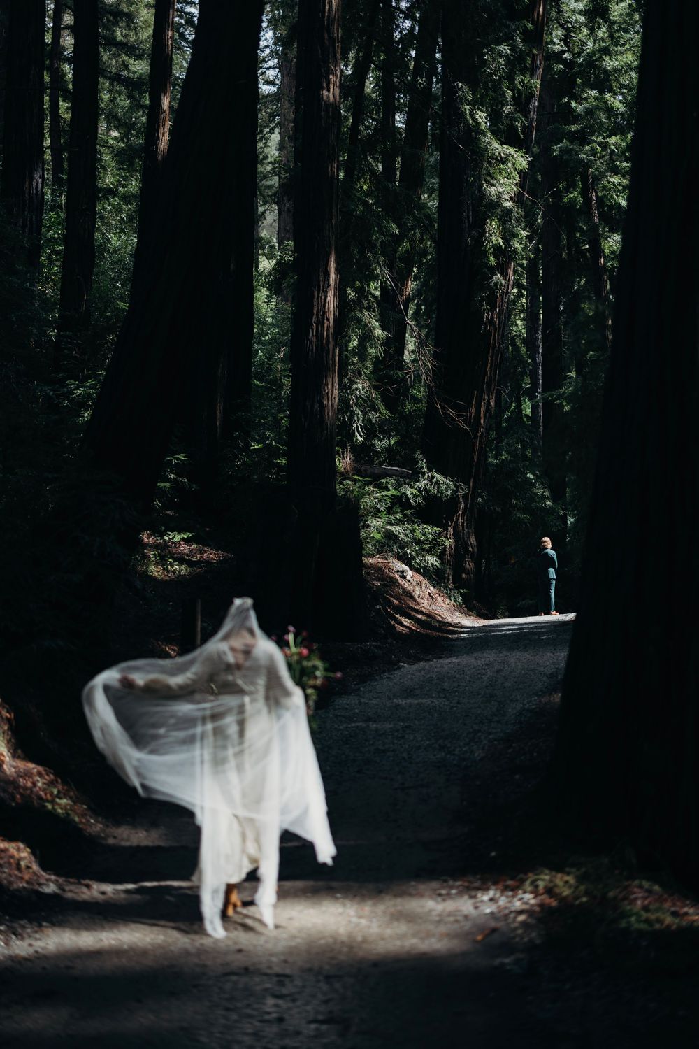 Ethereal bridal portrait with flowing white veil in dark forest setting.
