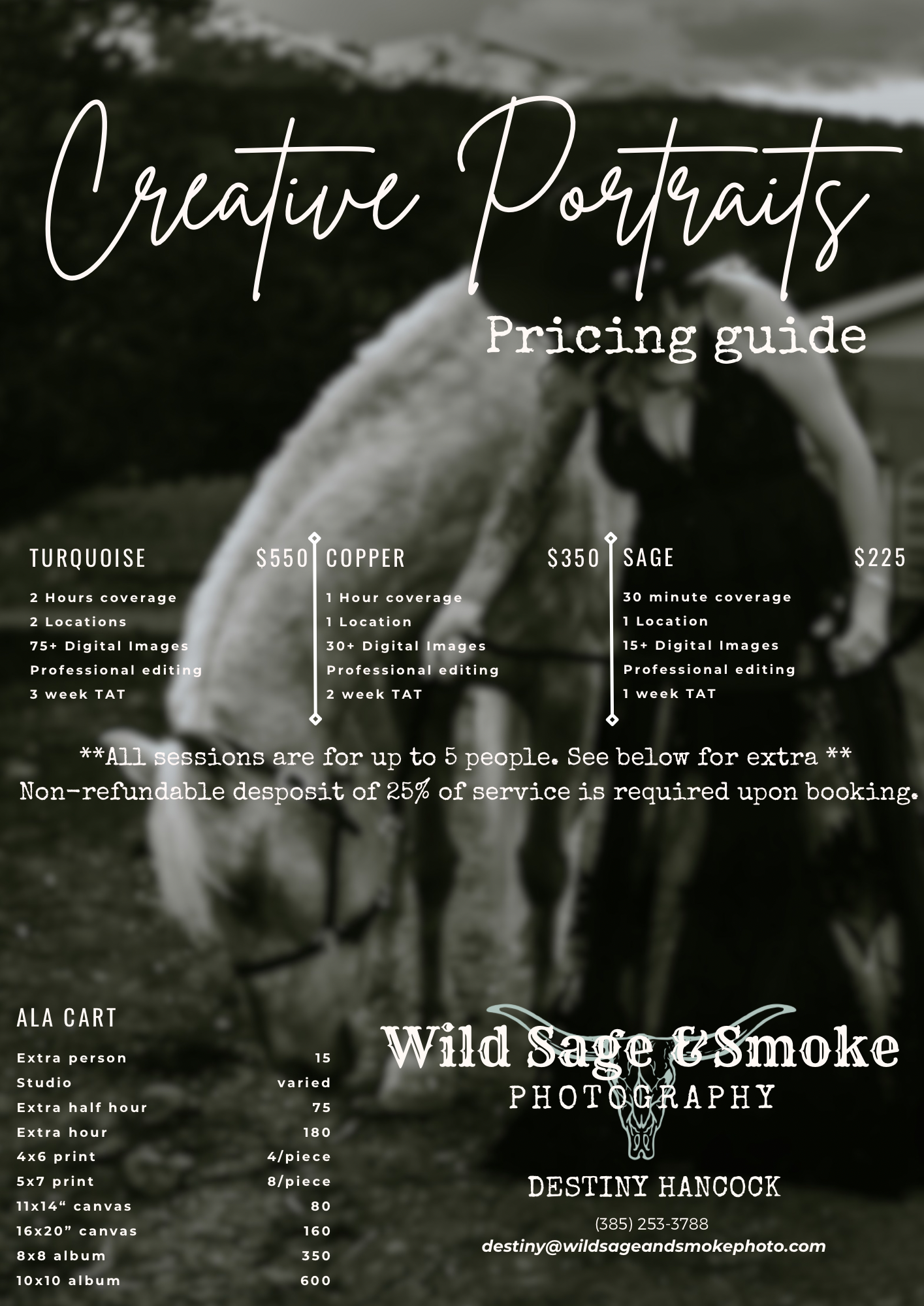 Wild Sage and Smoke Photography creative portraits pricing guide with turquoise, copper, and sage packages starting at $225.