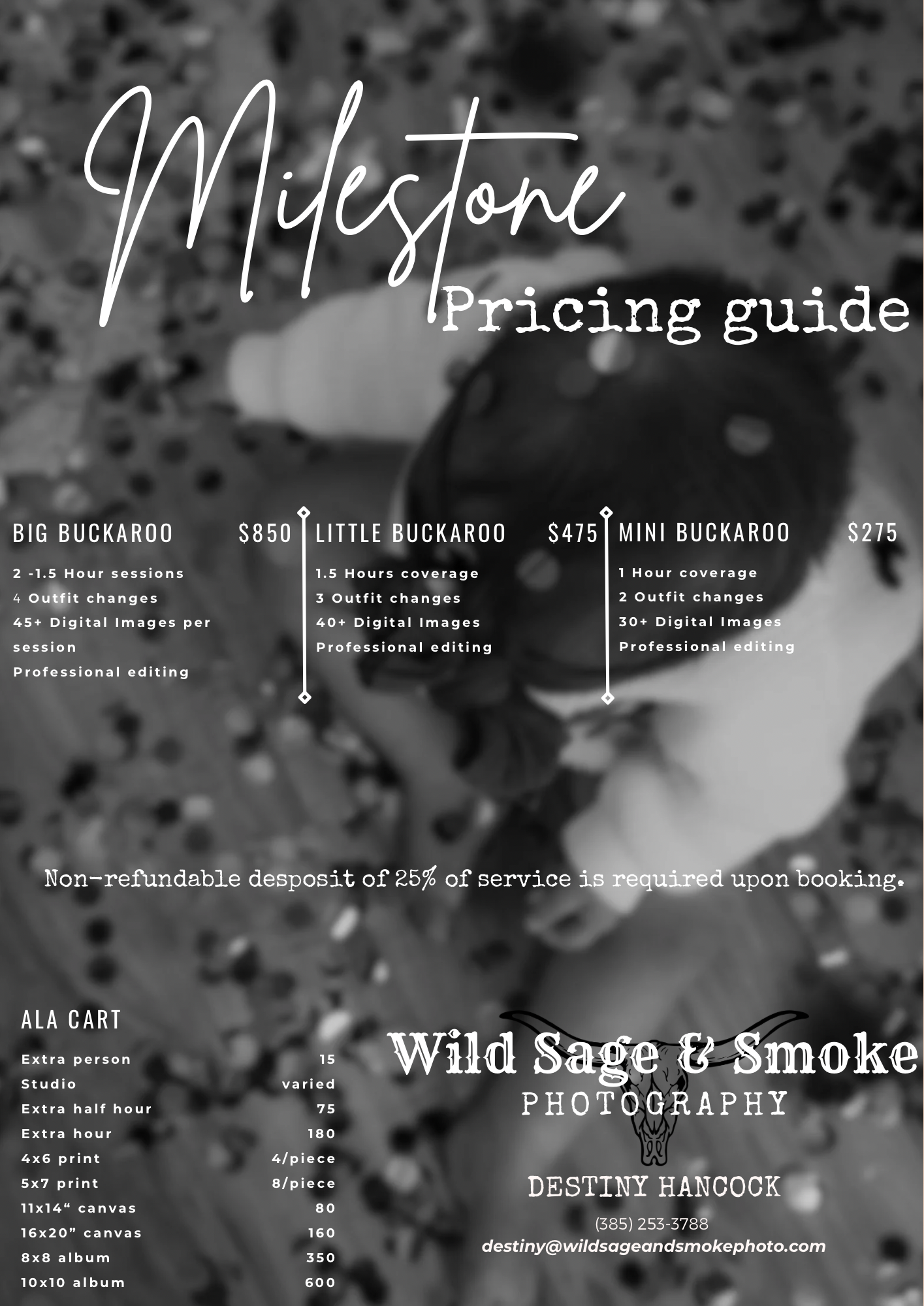 Wild Sage & Smoke Photography milestone pricing guide showing packages Big, Little, and Mini Buckaroo with a la cart options.