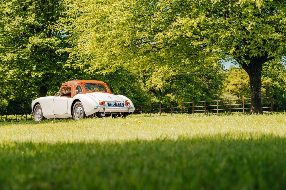 Classic white vintage car parked on lush green grass under bright summer trees in a scenic park setting.