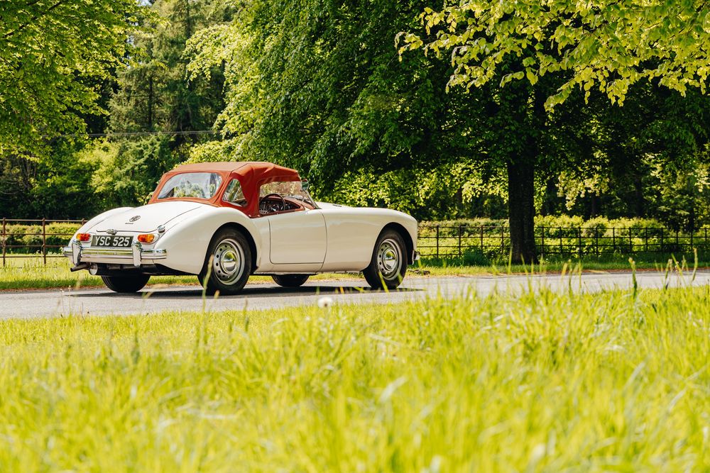 Classic white vintage MGA convertible sports car parked on grass under green trees in summer park setting.