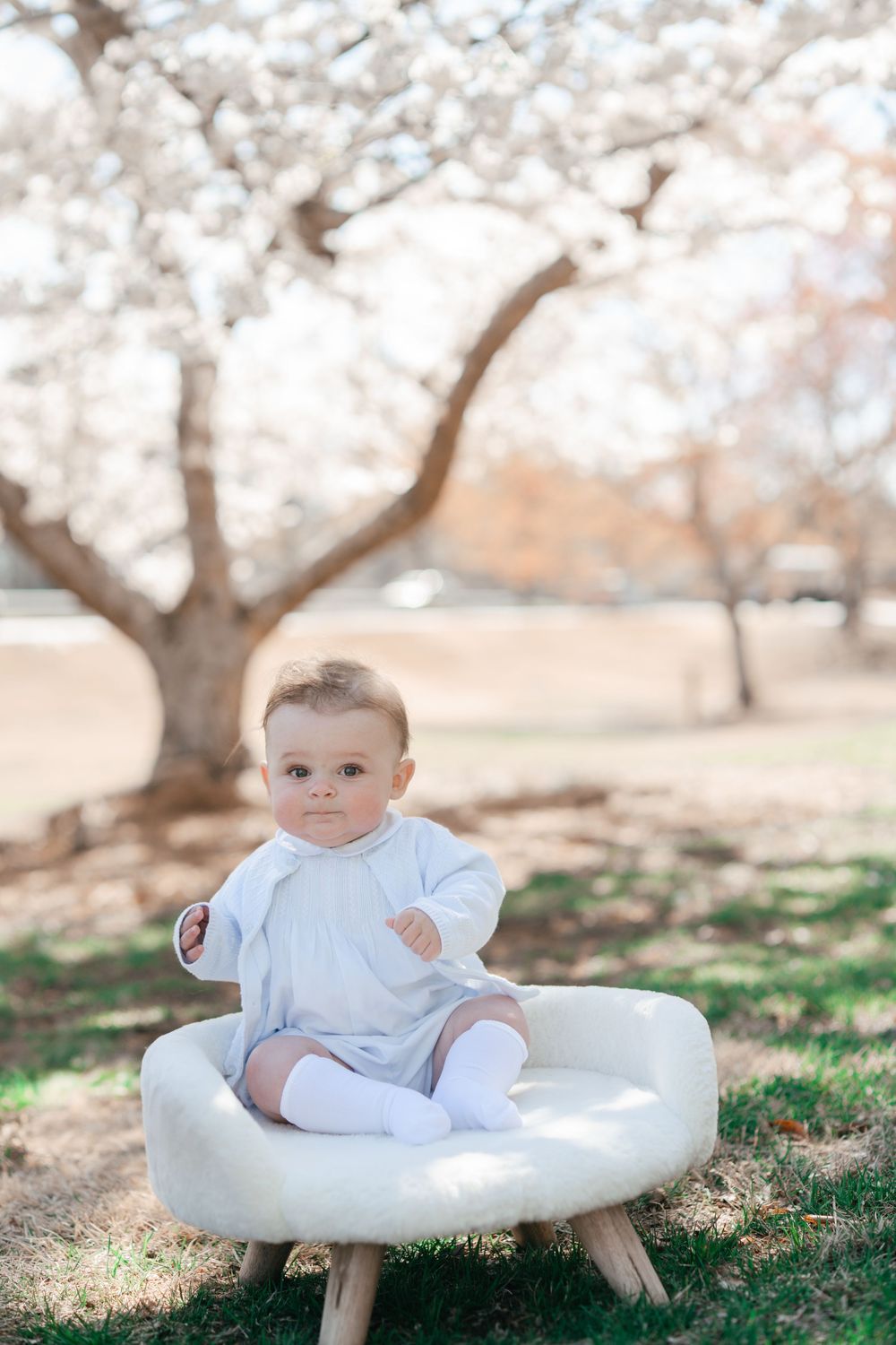 Baby boy during a flowering mini session in Marietta GA sitting on a chair