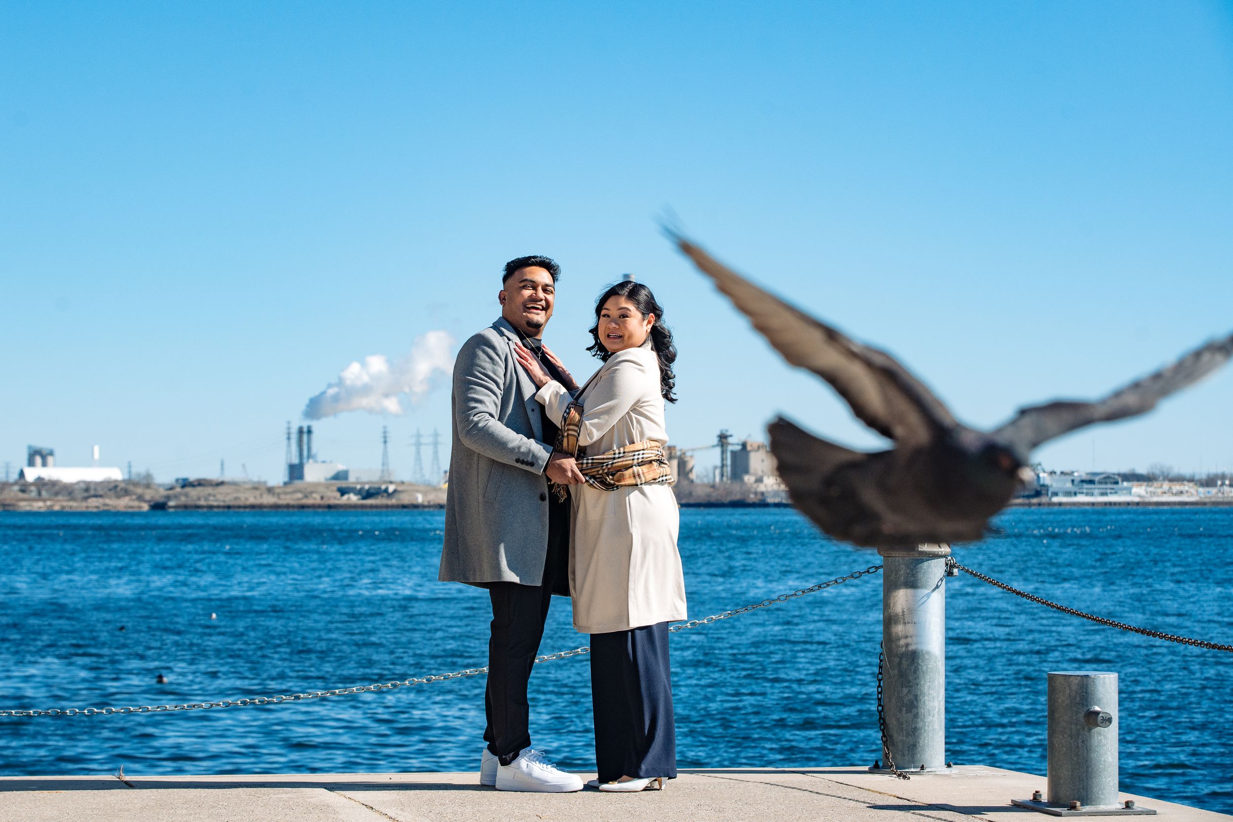 A couple stands on a pier by the ocean while a seagull photobombs their romantic moment.