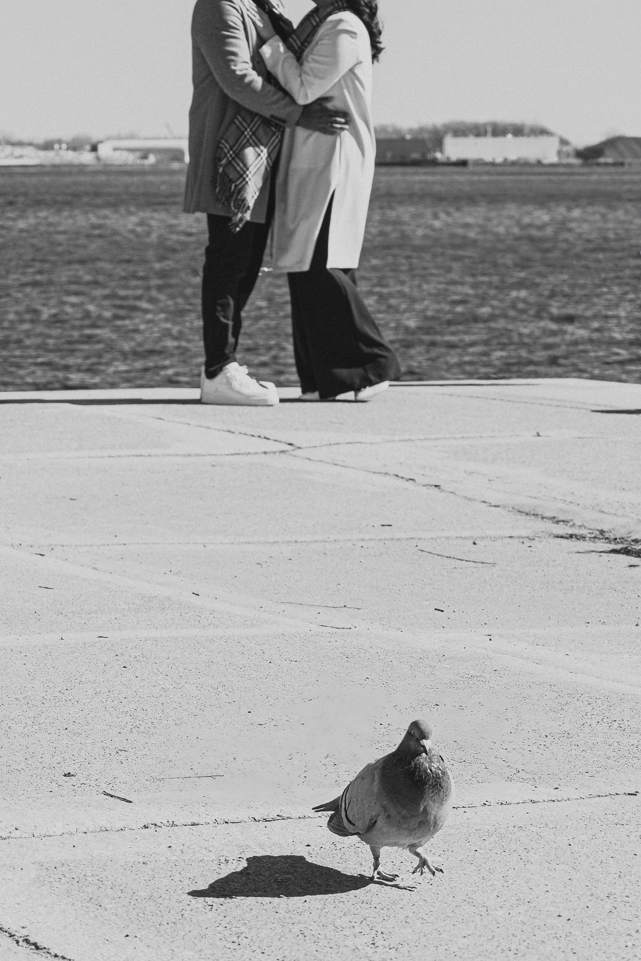 A couple embracing on a waterfront pier with a pigeon walking in the foreground of the black and white photo.