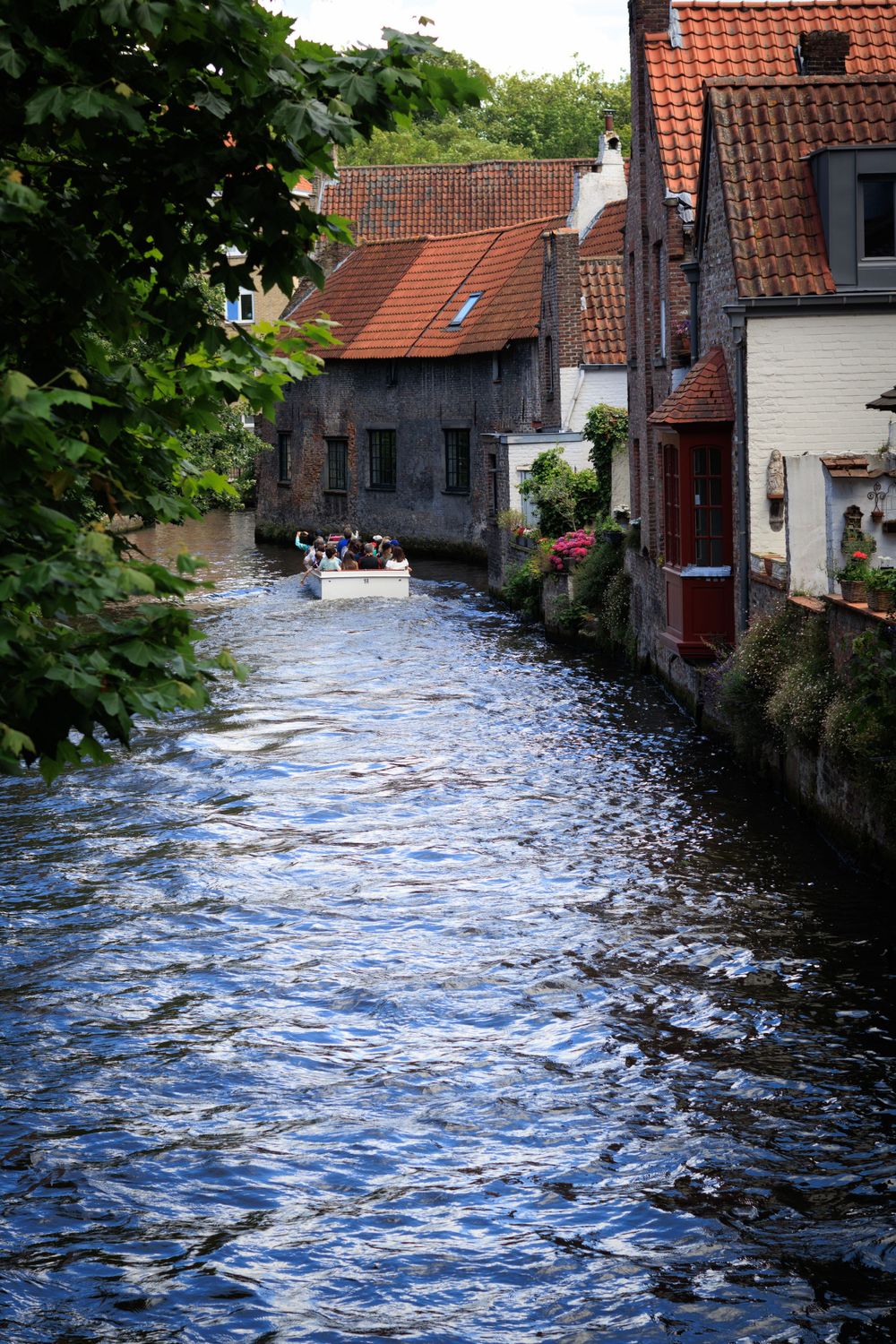 Sunlit canal waters ripple between traditional brick houses with red tile roofs.