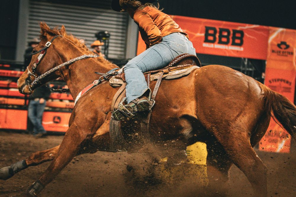 Rider