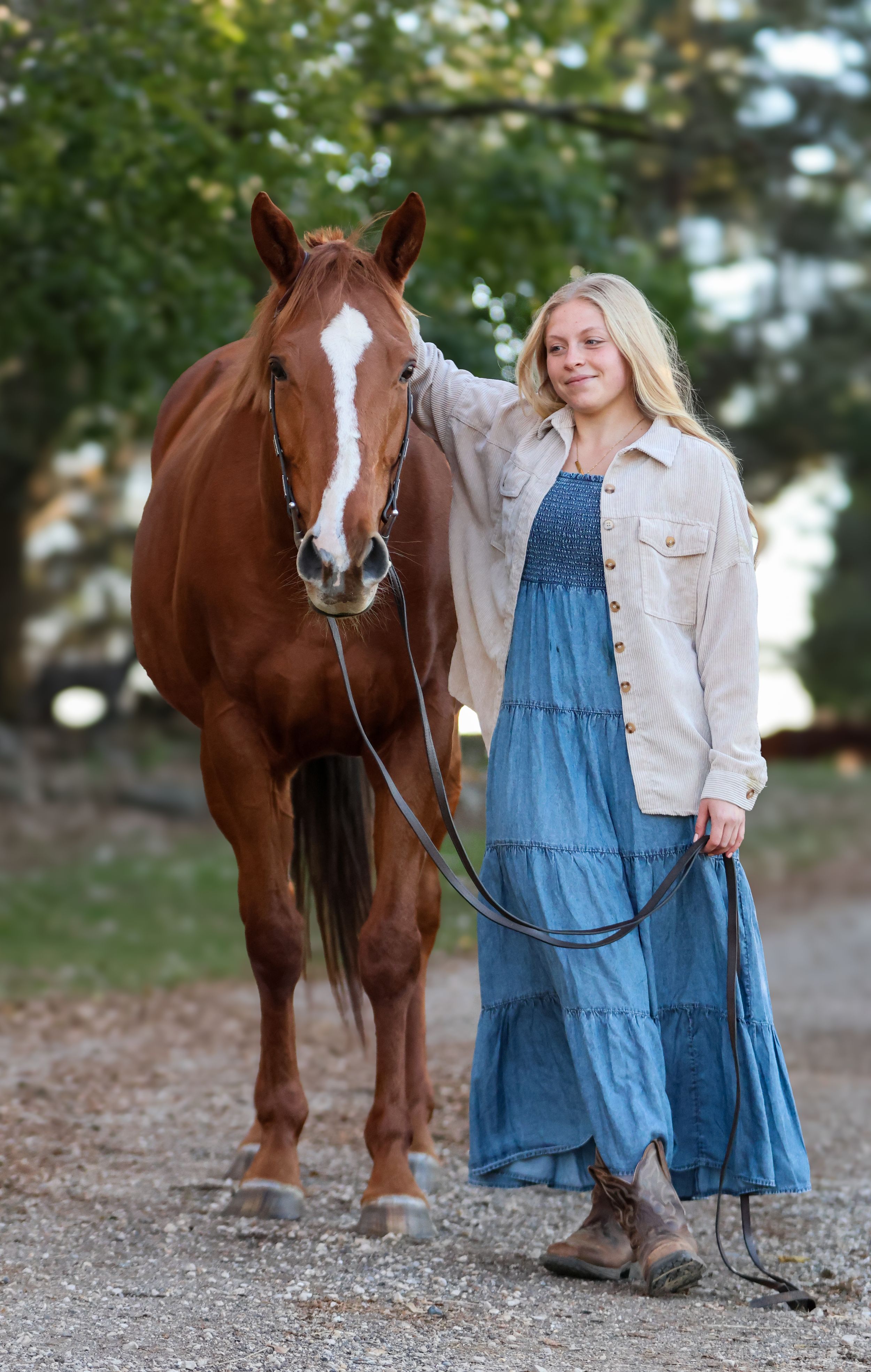 Horse