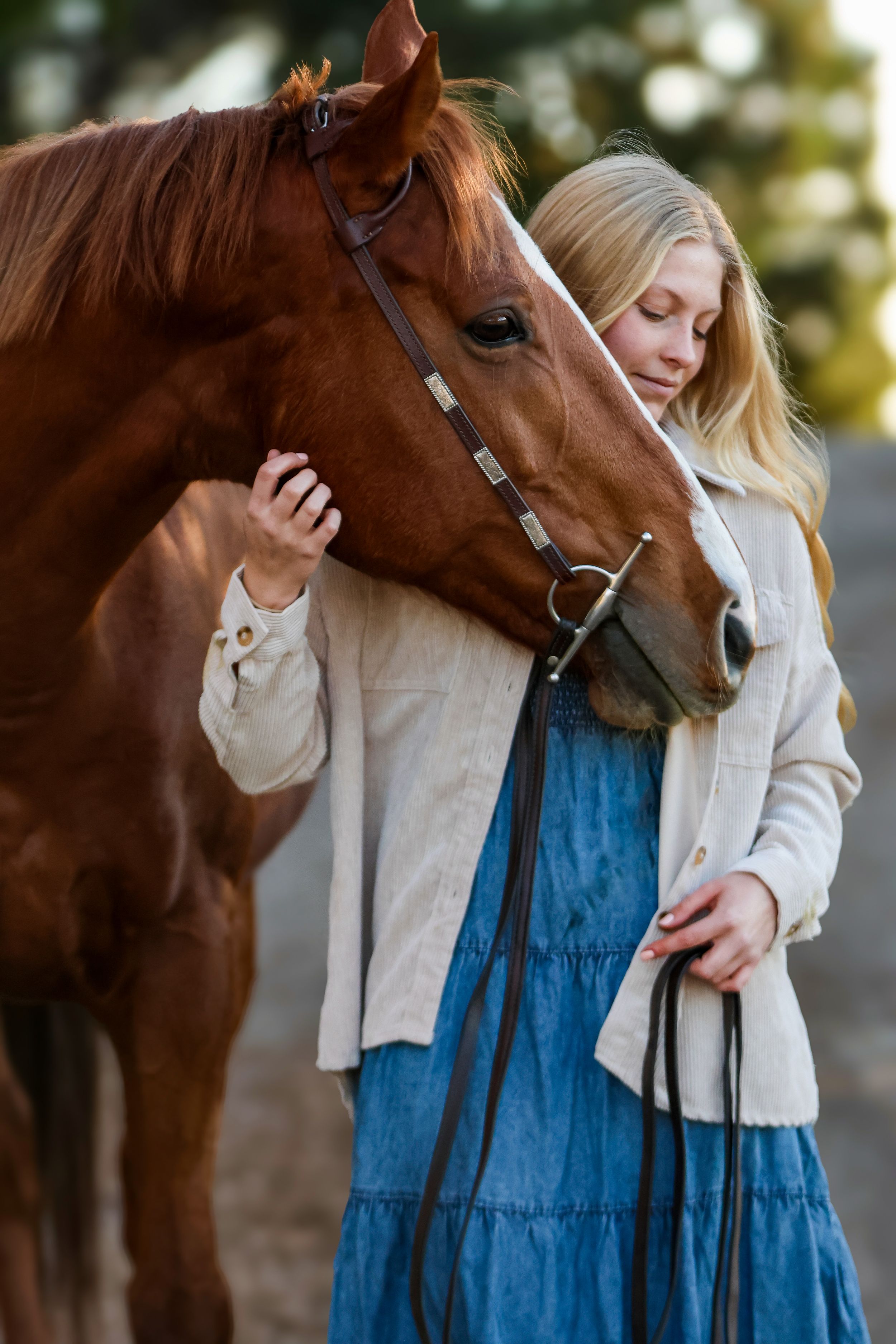 Horse