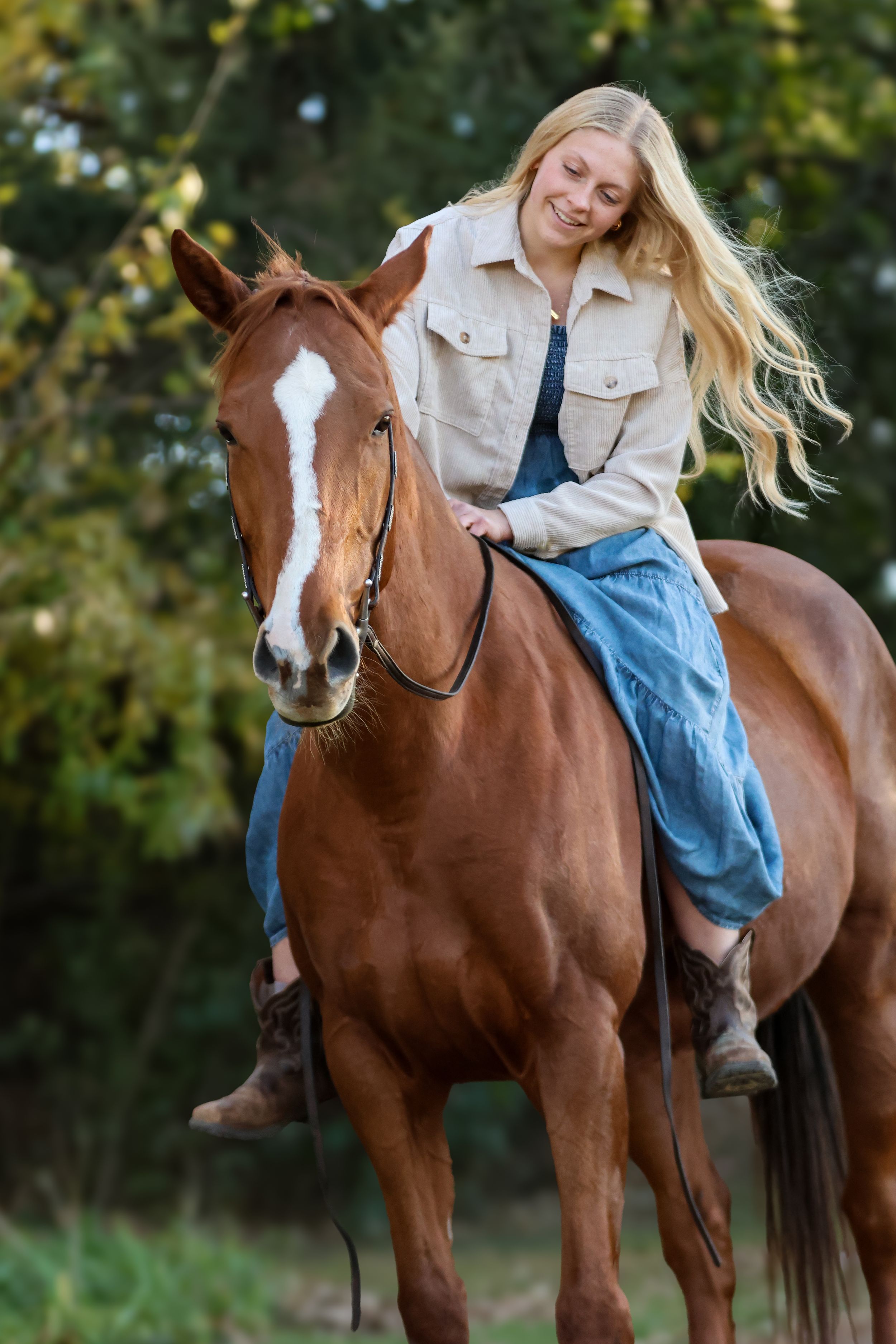 Horse