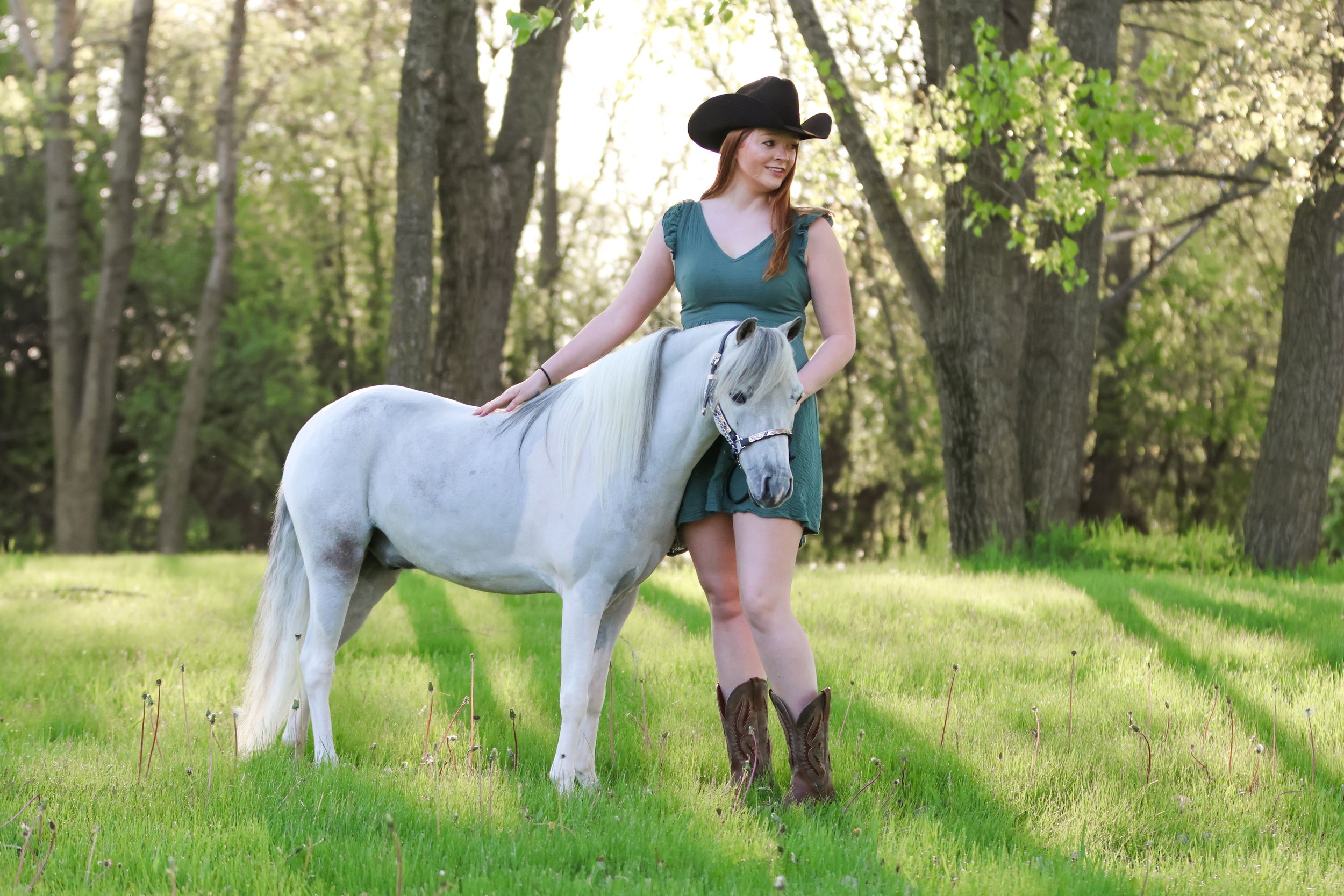Horse