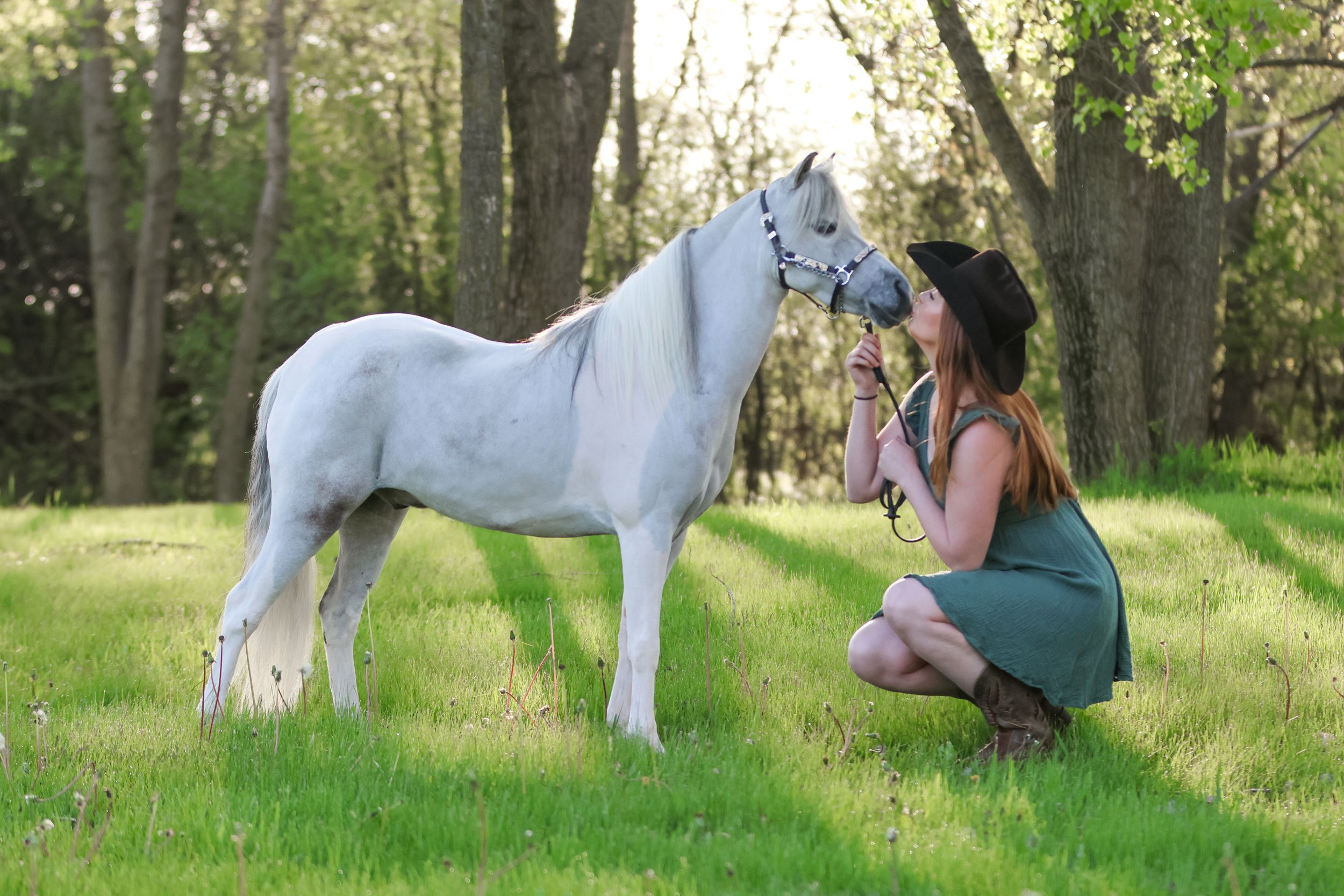 Horse