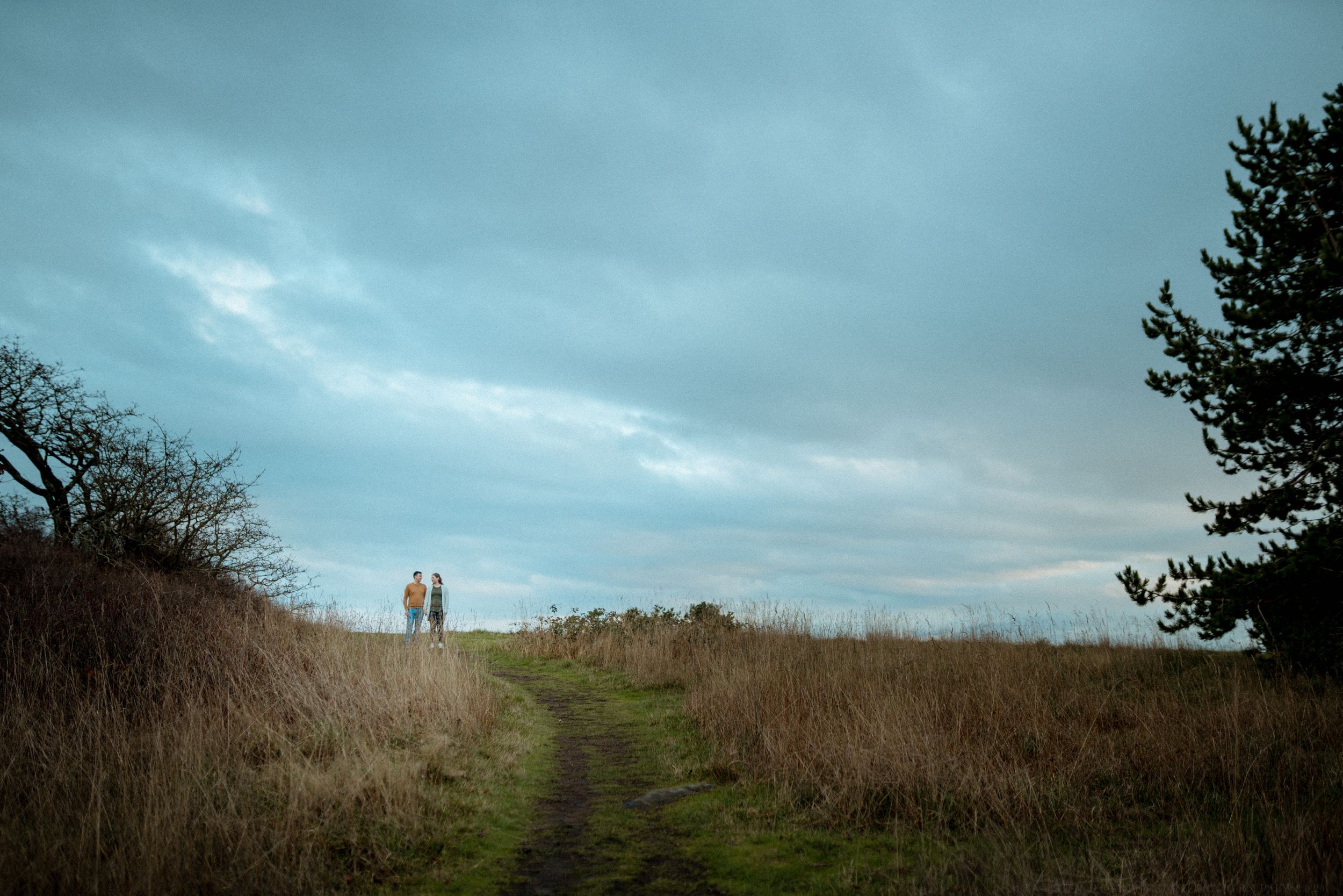 A panoramic view of a rural landscape with rolling hills, bare trees, and cloudy skies stretches across multiple frames.