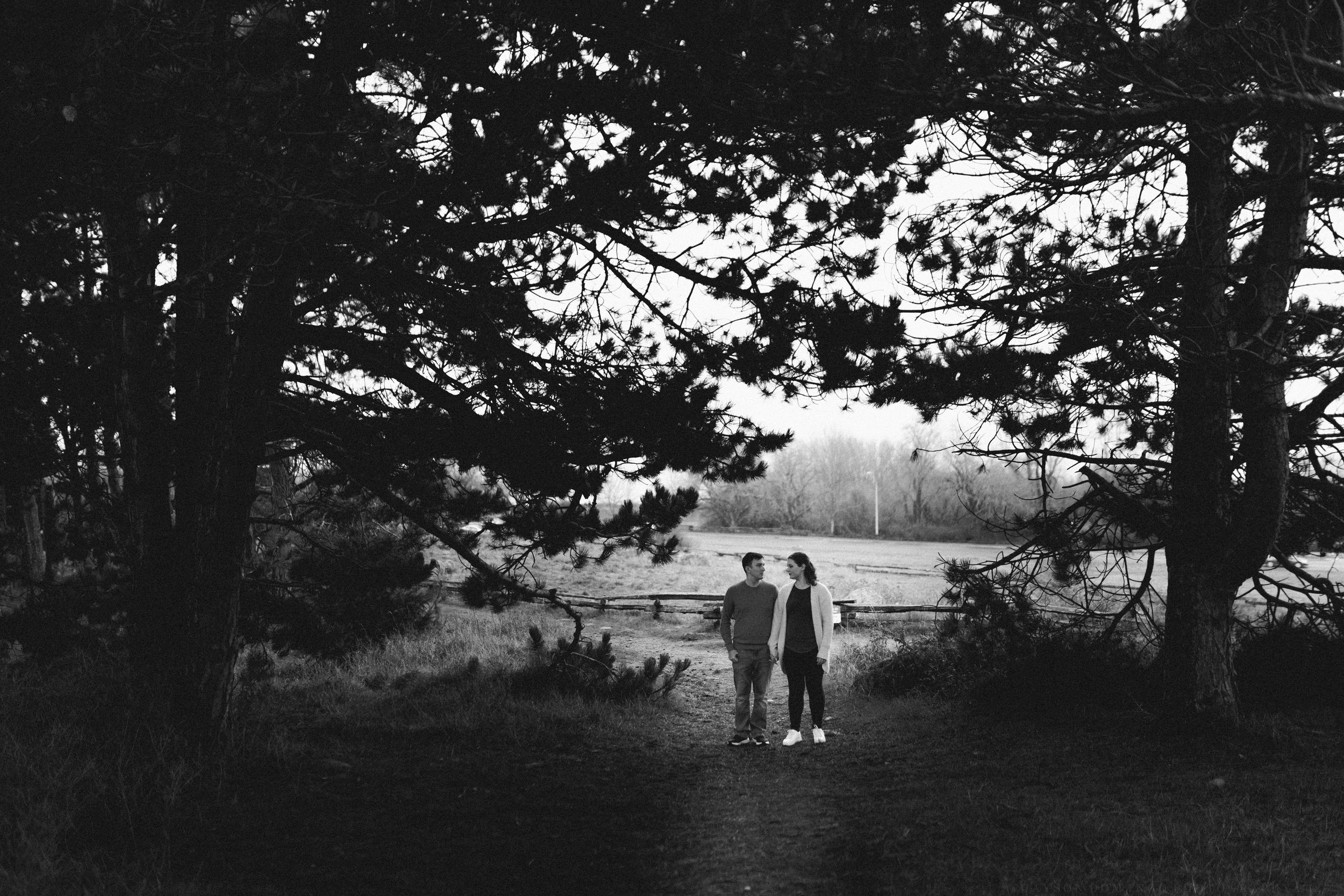 Black and white panoramic photo series showing people walking along a scenic lakeside path through tall trees.