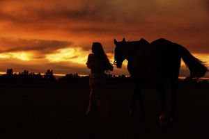 Silhouette of a person leading a horse against a dramatic orange sunset sky.