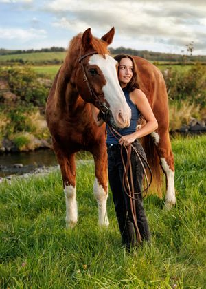 A person in dark clothing stands with a chestnut and white Clydesdale horse in a lush green field at sunset.
