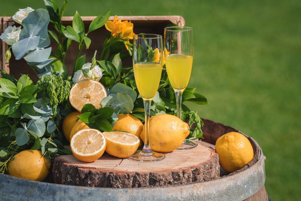 Fresh citrus cocktails and orange garnishes arranged on rustic wood slices with greenery in an outdoor setting.