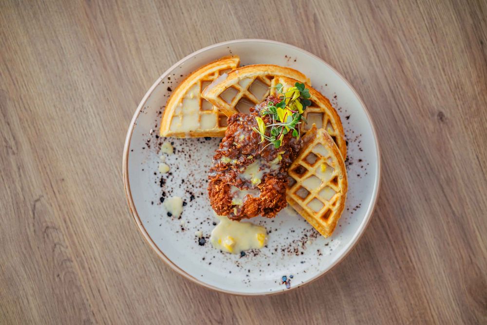Crispy golden waffles topped with fried chicken, maple syrup and fresh herbs served on a white plate with black garnish.