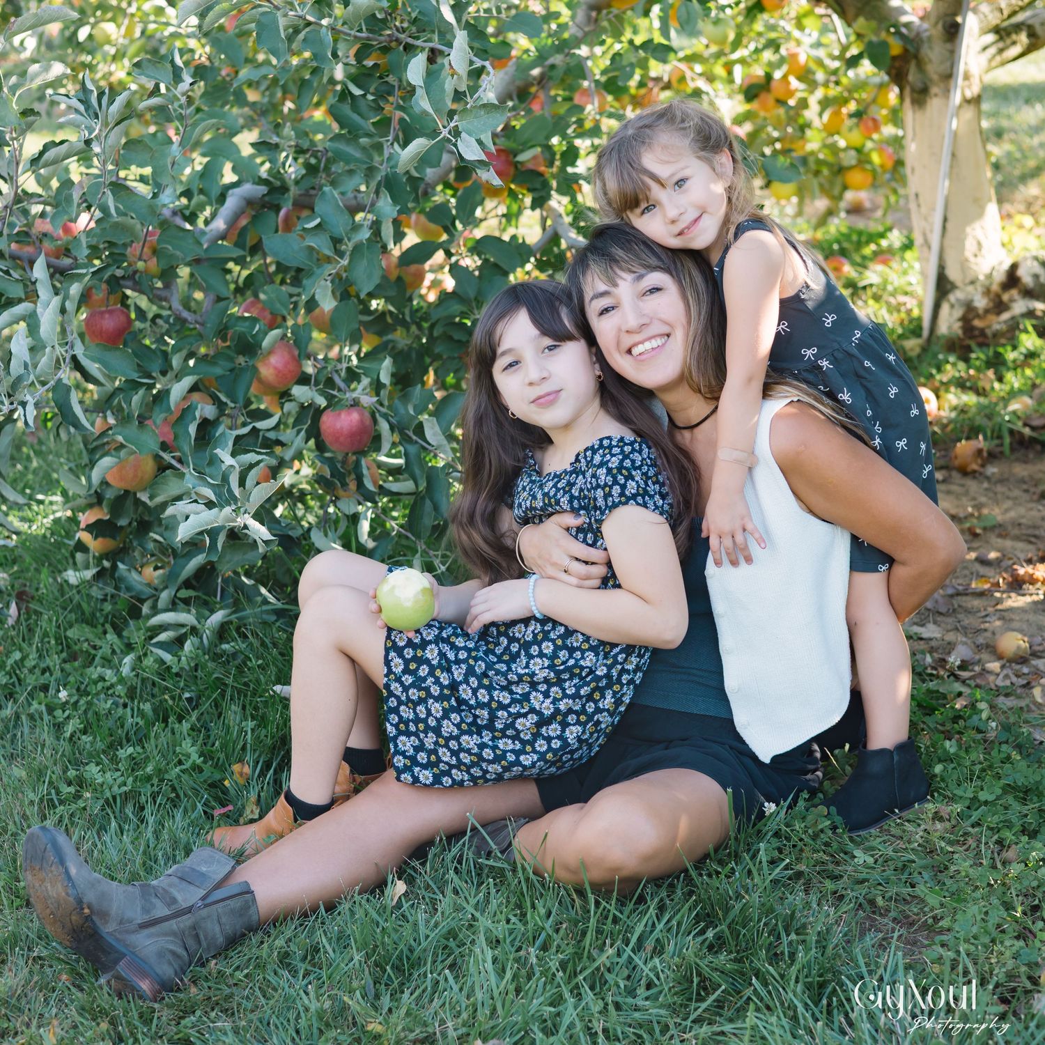 People sitting together in an apple orchard on a sunny day with trees and ripe fruit in the background.