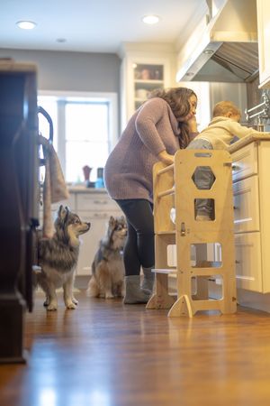 Pomsky dogs watching their mom and brother in the kitchen