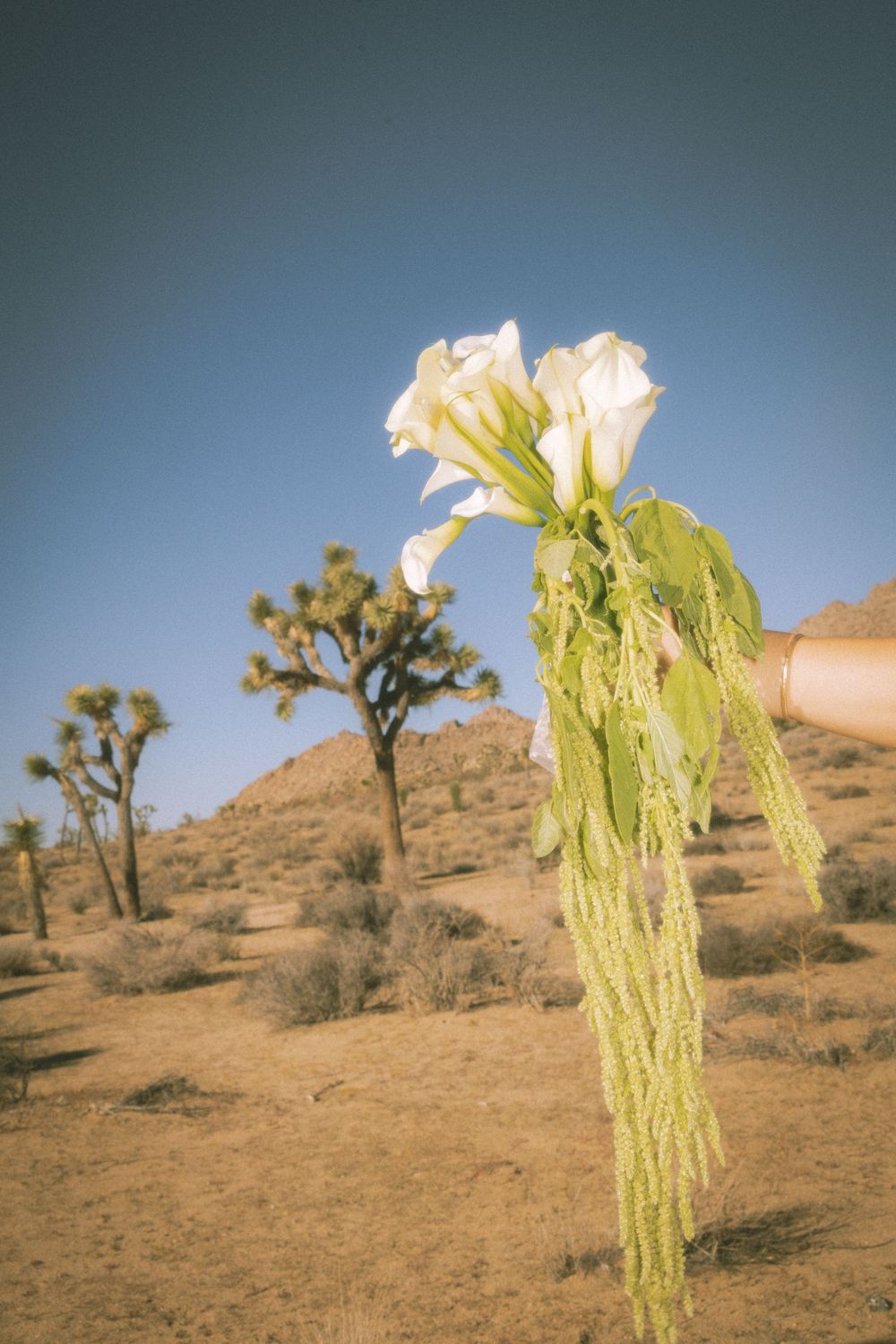 Joshua Tree National Park in Southern California wedding